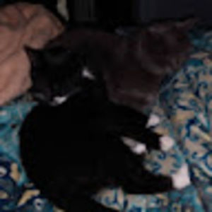 Meet your Posher, Meagan